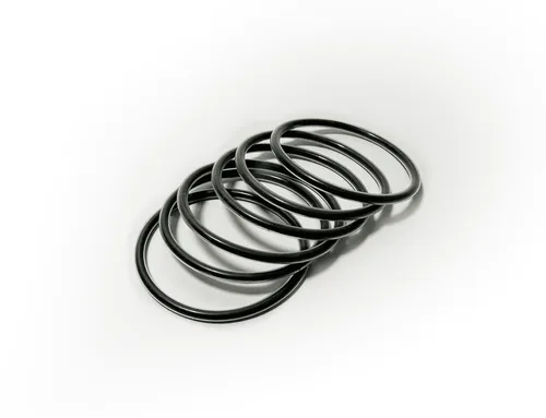 O'rings encapsulados